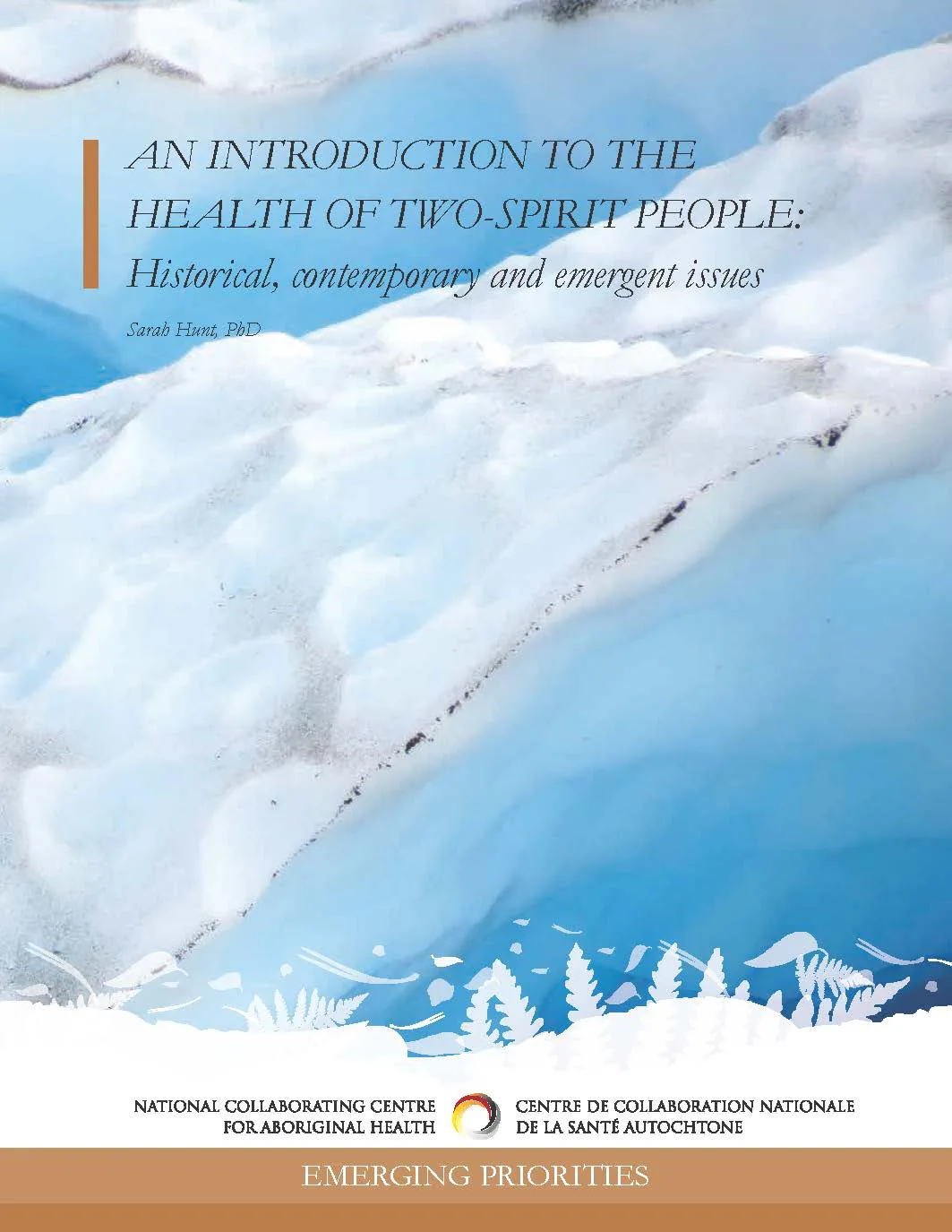 An Introduction to the health of Two-Spirit people