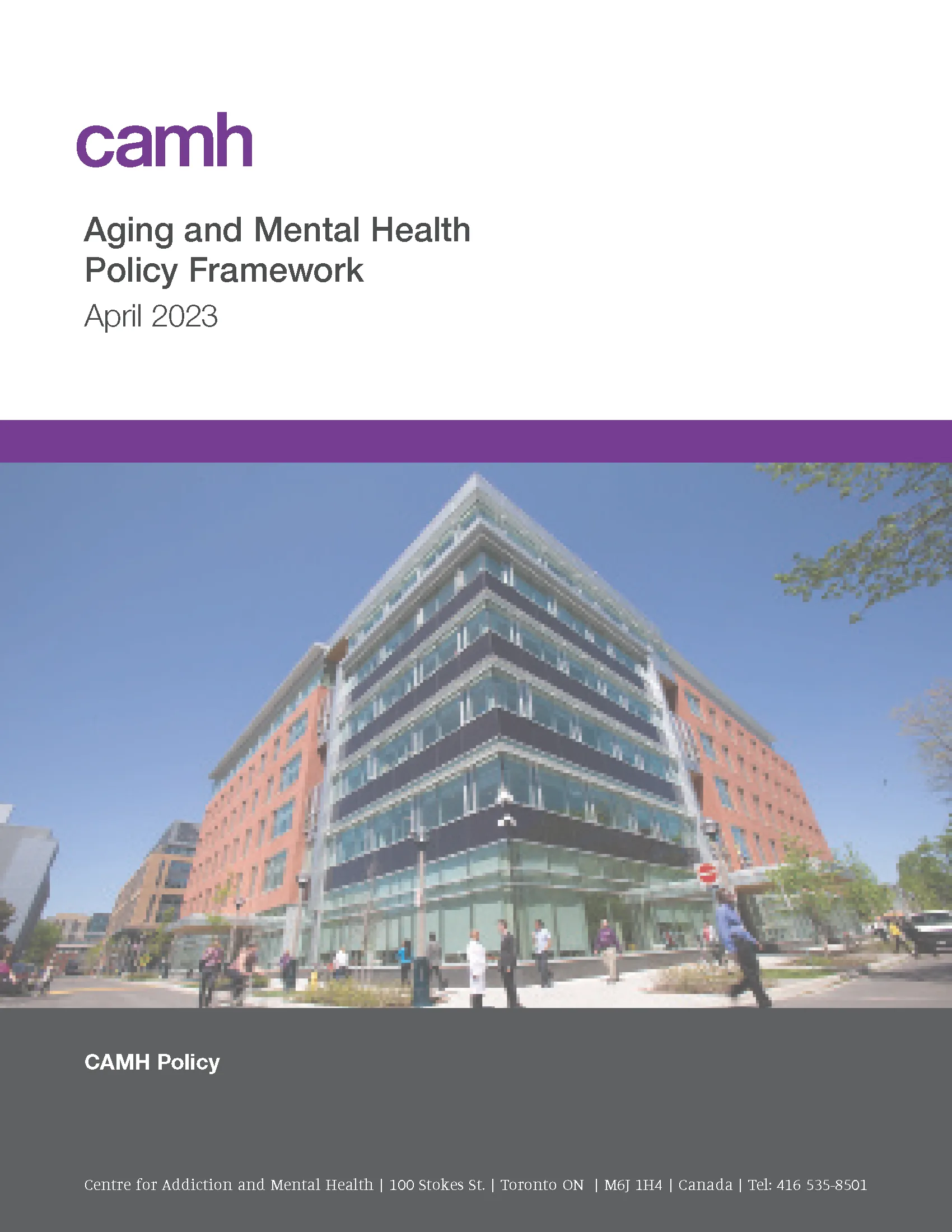 Aging and mental health policy framework