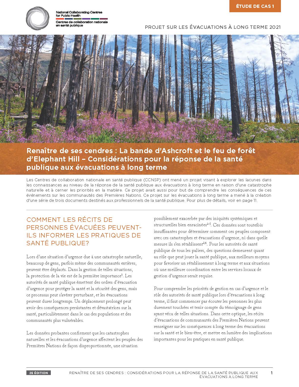 Renaître de ses cendres : la bande d’Ashcroft et le feu de forêt d’Elephant Hill – Considérations pour la réponse de la santé publique aux évacuations à long terme