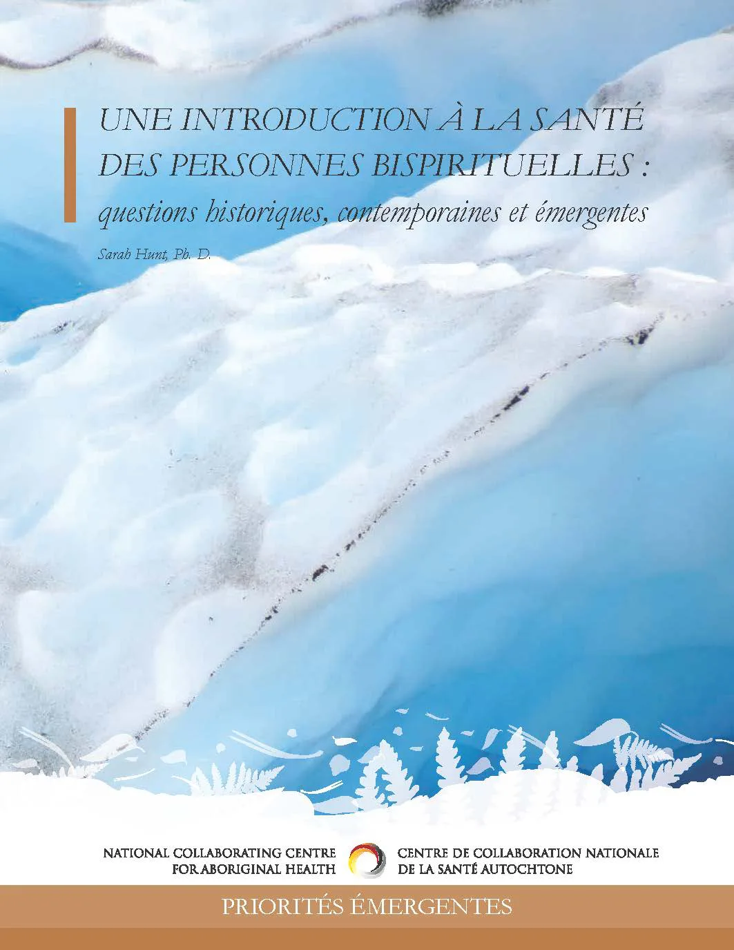 Une introduction à la santé des personnes bispirituelles