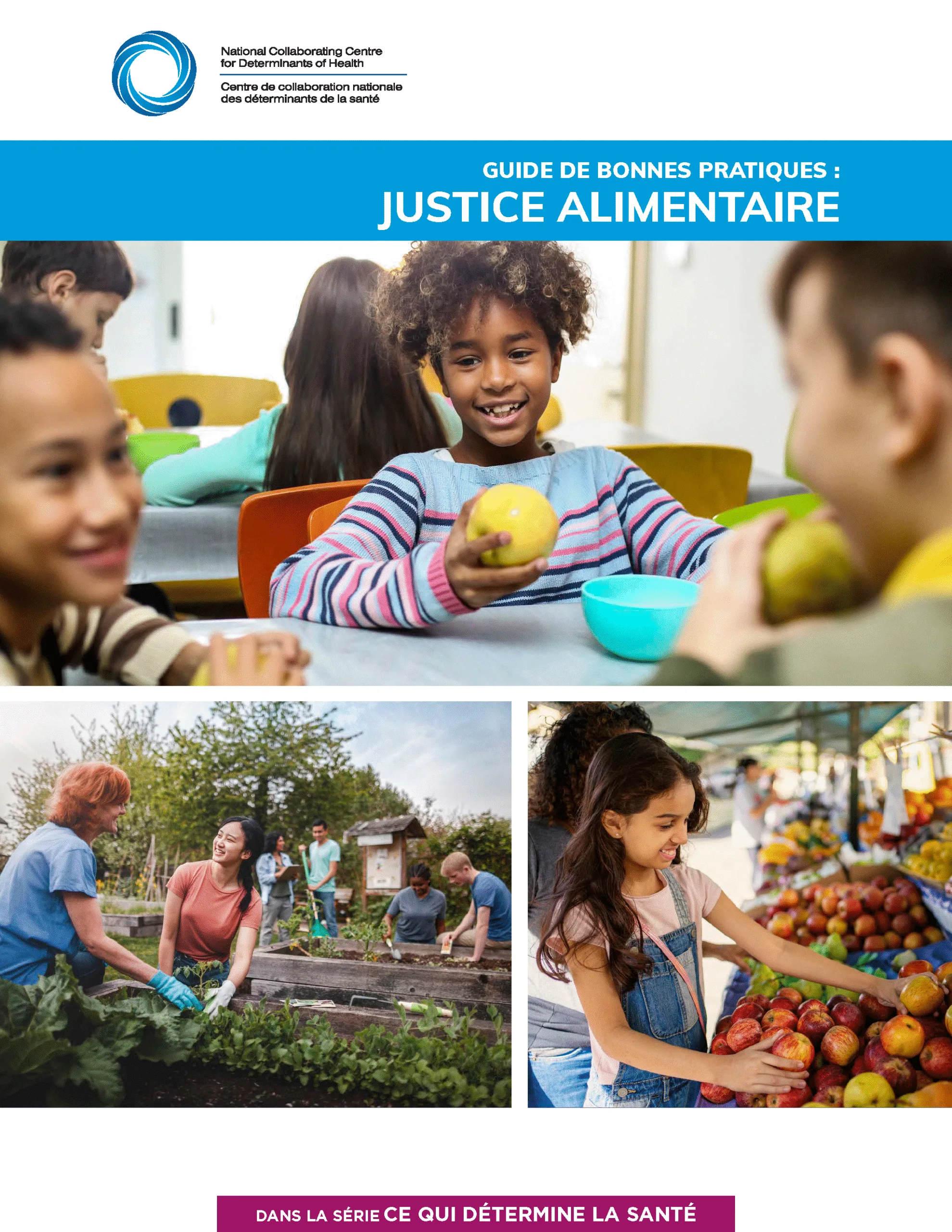 Ce qui détermine la santé : Guide de bonnes pratiques – Justice alimentaire